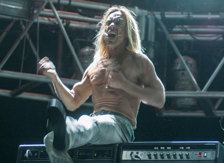 Iggy Iggy Pop