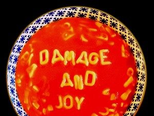 damageandjoy The Jesus and Mary Chain