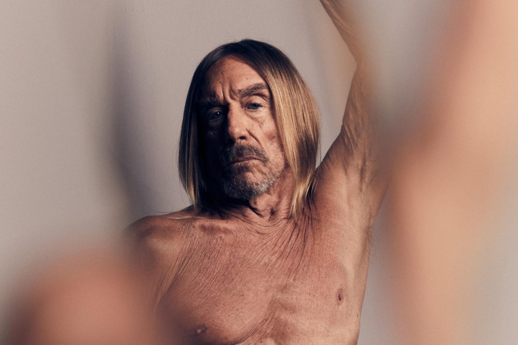 Iggy Pop